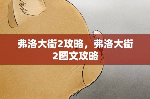 弗洛大街2攻略，弗洛大街2图文攻略