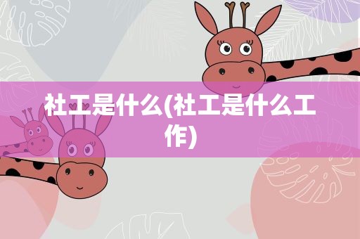 社工是什么(社工是什么工作)