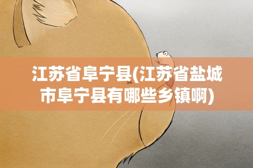 江苏省阜宁县(江苏省盐城市阜宁县有哪些乡镇啊)