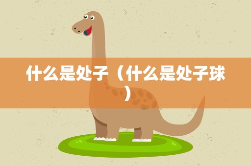 什么是处子（什么是处子球）
