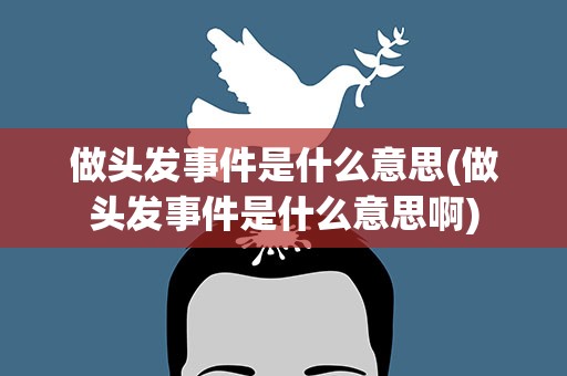 做头发事件是什么意思(做头发事件是什么意思啊)