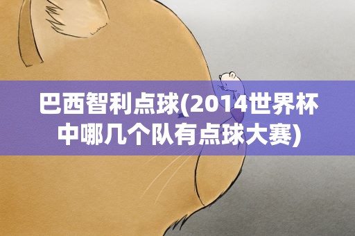 巴西智利点球(2014世界杯中哪几个队有点球大赛)