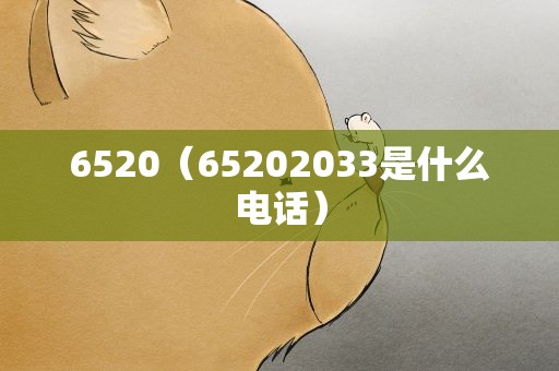 6520（65202033是什么电话）