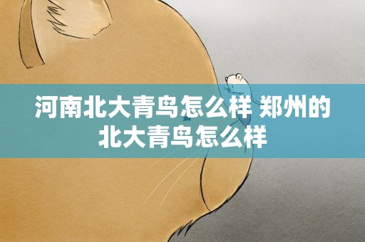 河南北大青鸟怎么样 郑州的北大青鸟怎么样