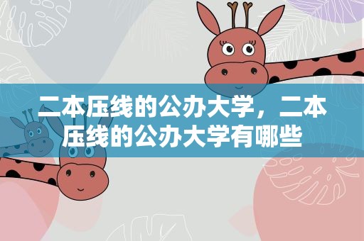 二本压线的公办大学，二本压线的公办大学有哪些