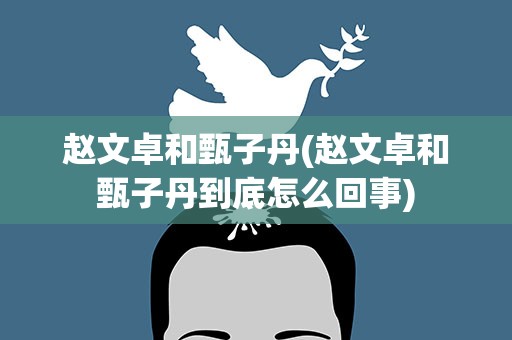 赵文卓和甄子丹(赵文卓和甄子丹到底怎么回事)