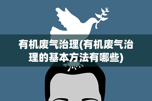 有机废气治理(有机废气治理的基本方法有哪些)