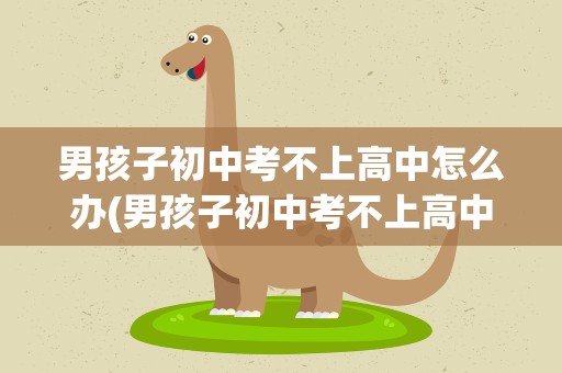 男孩子初中考不上高中怎么办(男孩子初中考不上高中怎么办呢)