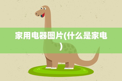 家用电器图片(什么是家电)