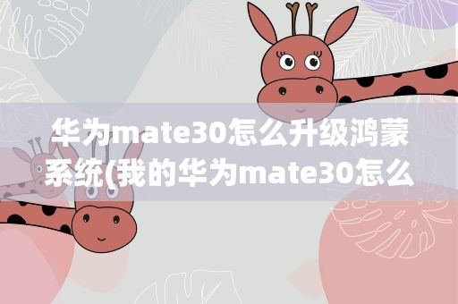 华为mate30怎么升级鸿蒙系统(我的华为mate30怎么申请升级鸿蒙系统)