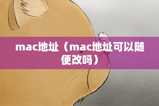 mac地址（mac地址可以随便改吗）