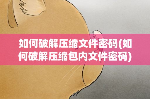 如何破解压缩文件密码(如何破解压缩包内文件密码)