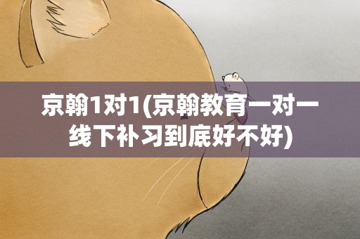 京翰1对1(京翰教育一对一线下补习到底好不好)