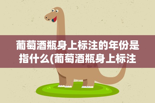 葡萄酒瓶身上标注的年份是指什么(葡萄酒瓶身上标注的年份是什么年份)