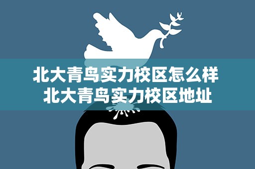 北大青鸟实力校区怎么样 北大青鸟实力校区地址