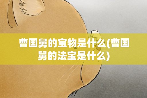 曹国舅的宝物是什么(曹国舅的法宝是什么)