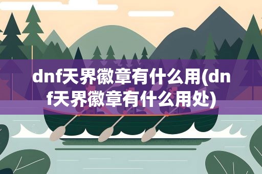 dnf天界徽章有什么用(dnf天界徽章有什么用处)