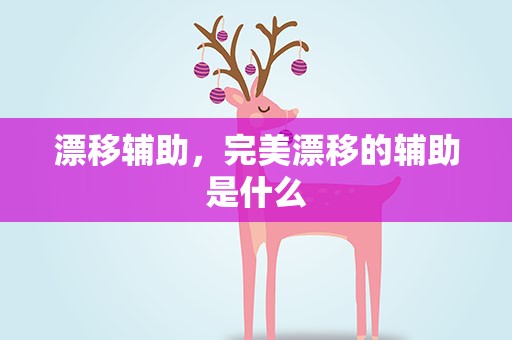 漂移辅助，完美漂移的辅助是什么