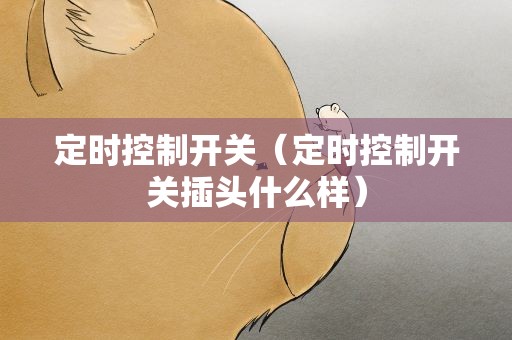 定时控制开关（定时控制开关插头什么样）