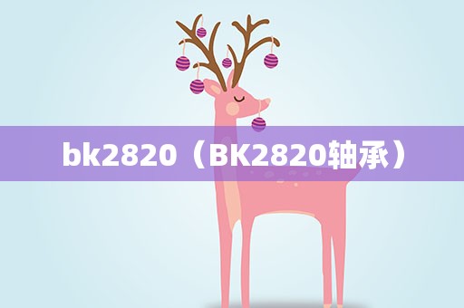 bk2820（BK2820轴承）