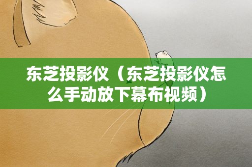 东芝投影仪（东芝投影仪怎么手动放下幕布视频）