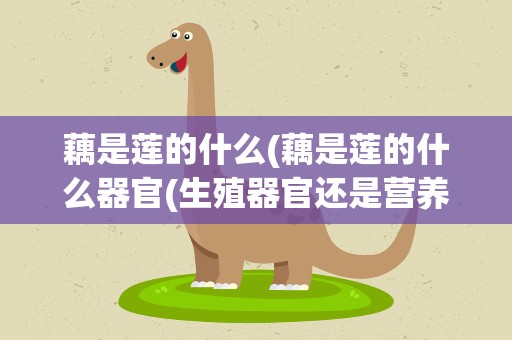藕是莲的什么(藕是莲的什么器官(生殖器官还是营养器官))