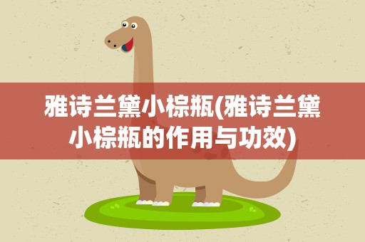雅诗兰黛小棕瓶(雅诗兰黛小棕瓶的作用与功效)