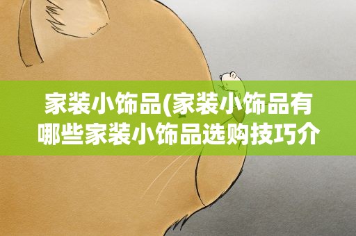 家装小饰品(家装小饰品有哪些家装小饰品选购技巧介绍)