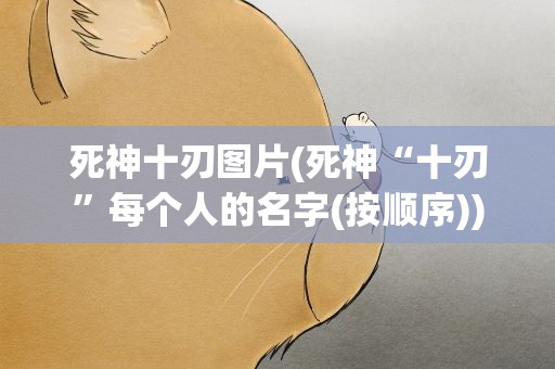 死神十刃图片(死神“十刃”每个人的名字(按顺序))