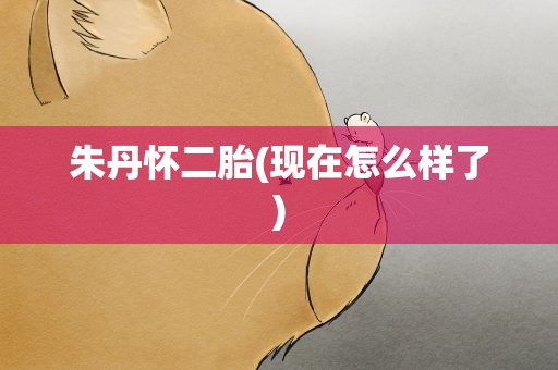 朱丹怀二胎(现在怎么样了)