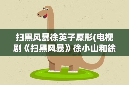 扫黑风暴徐英子原形(电视剧《扫黑风暴》徐小山和徐英子原型是什么)