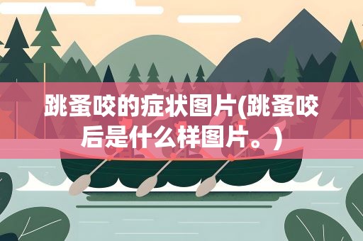 跳蚤咬的症状图片(跳蚤咬后是什么样图片。)