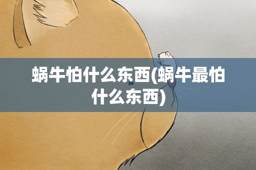 蜗牛怕什么东西(蜗牛最怕什么东西)