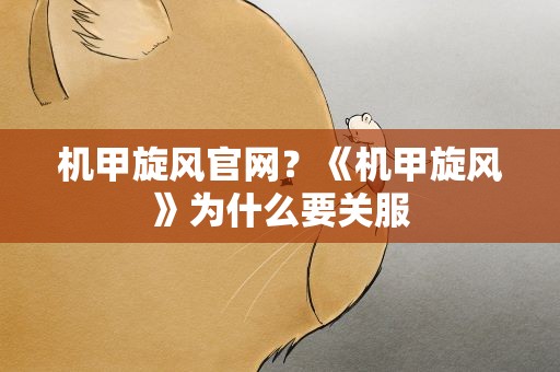 机甲旋风官网？《机甲旋风》为什么要关服