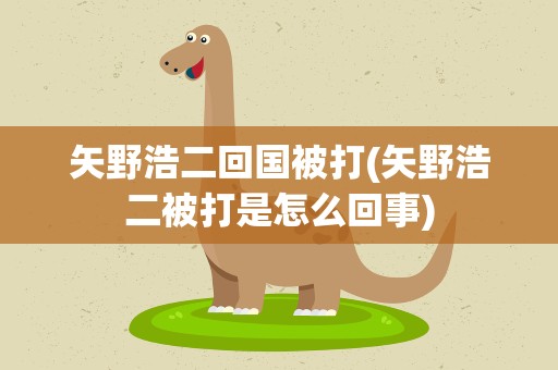 矢野浩二回国被打(矢野浩二被打是怎么回事)