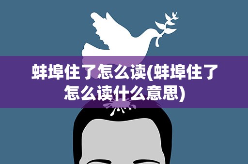 蚌埠住了怎么读(蚌埠住了怎么读什么意思)