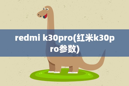 redmi k30pro(红米k30pro参数)