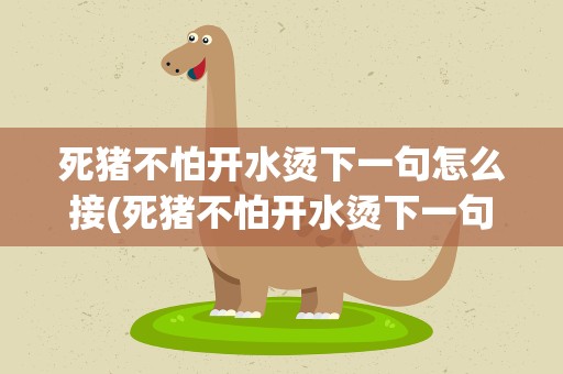 死猪不怕开水烫下一句怎么接(死猪不怕开水烫下一句是什么)