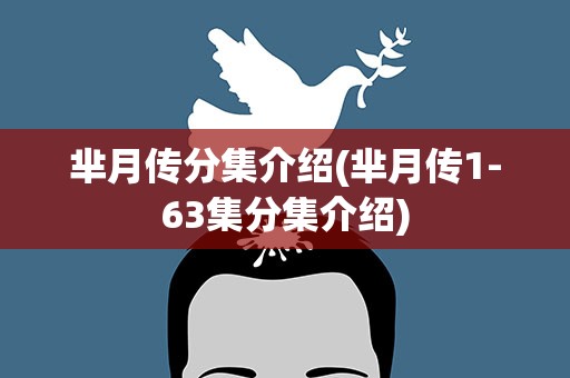 芈月传分集介绍(芈月传1-63集分集介绍)