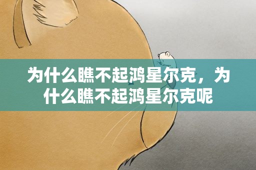 为什么瞧不起鸿星尔克，为什么瞧不起鸿星尔克呢