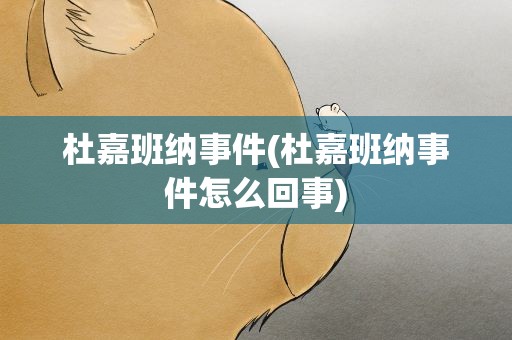 杜嘉班纳事件(杜嘉班纳事件怎么回事)