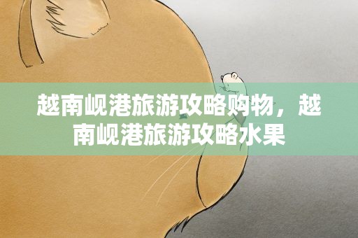 越南岘港旅游攻略购物，越南岘港旅游攻略水果
