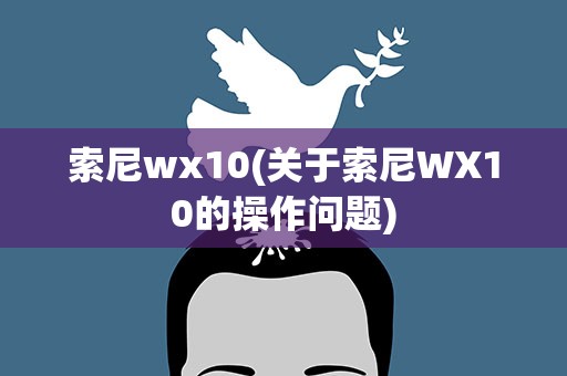 索尼wx10(关于索尼WX10的操作问题)