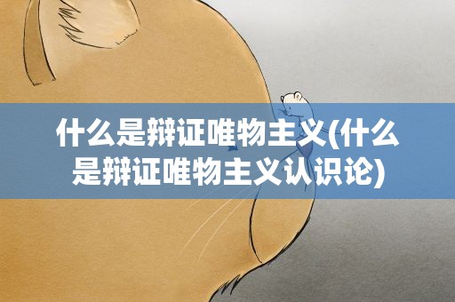 什么是辩证唯物主义(什么是辩证唯物主义认识论)