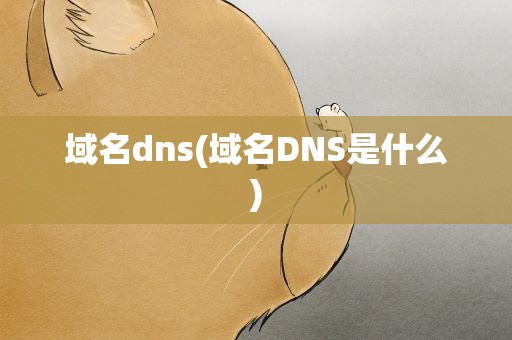 域名dns(域名DNS是什么)
