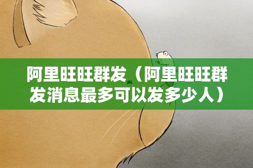 阿里旺旺群发（阿里旺旺群发消息最多可以发多少人）