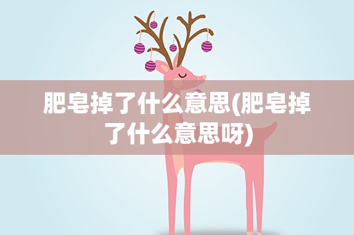 肥皂掉了什么意思(肥皂掉了什么意思呀)