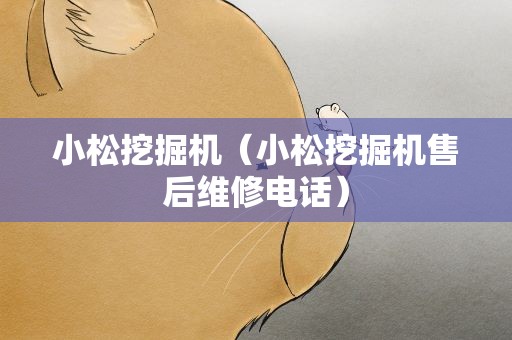 小松挖掘机（小松挖掘机售后维修电话）