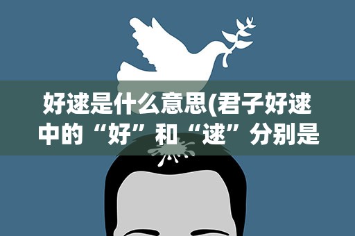 好逑是什么意思(君子好逑中的“好”和“逑”分别是什么意思)