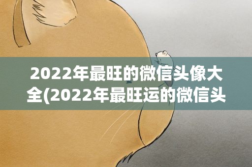 2022年最旺的微信头像大全(2022年最旺运的微信头像,2021最旺好运气的微信头像)